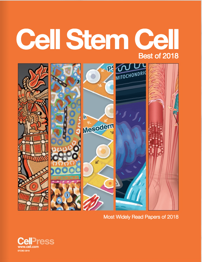 Paper from Humphreys & Morris labs featured in ‘The Best of Cell Stem Cell 2018’